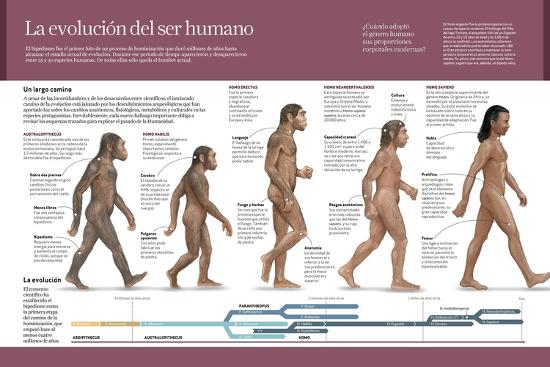 Poster, , large