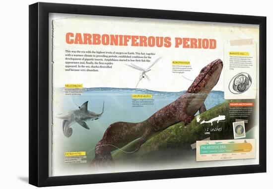 Infographic About Carboniferous Period of the Palaeozoic Era-null-Framed Poster