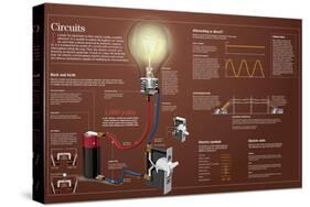 Infographic About Electric Circuits: What They Are, in Which Ways Can Electric Current Flow-null-Stretched Canvas