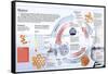 Infographic About Matter, Any Type of Entity That Occupies a Place in Space and That Is Measurable-null-Framed Stretched Canvas