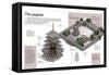 Infographic About Pagodas (Wooden Structures of the 8th Century), Buddhist Temple Horyu-Ji in Japan-null-Framed Stretched Canvas