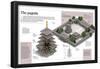 Infographic About Pagodas (Wooden Structures of the 8th Century), Buddhist Temple Horyu-Ji in Japan-null-Framed Poster