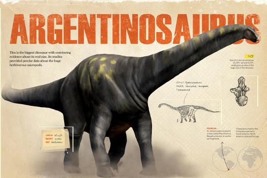 Poster, , large
