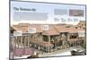 Infographic About the City of Rome During the Ancient Period (8th to 5th Century BC)-null-Mounted Poster