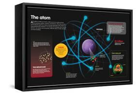 Infographic About the Components of the Atom and How They Can Be Combined-null-Framed Stretched Canvas