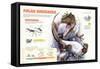 Infographic About the Dinosaurs That Lived in Cold Regions Like the Pole-null-Framed Stretched Canvas