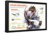 Infographic About the Dinosaurs That Lived in Cold Regions Like the Pole-null-Framed Poster