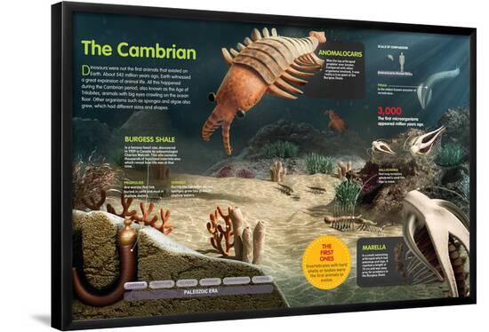 Poster, , large
