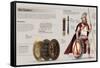 Infographic About the Hoplites, Volunteer Citizens of Classical Greece That Fought in War-null-Framed Stretched Canvas