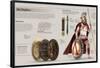 Infographic About the Hoplites, Volunteer Citizens of Classical Greece That Fought in War-null-Framed Poster