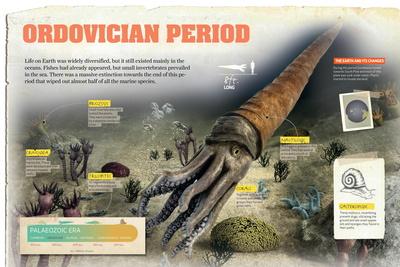 Ordovician Life