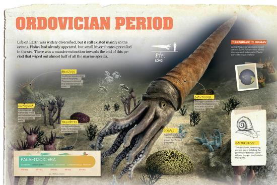 Poster, , large
