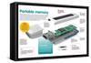 Infographic About the Portable Information Storage System or Pen Drive-null-Framed Stretched Canvas