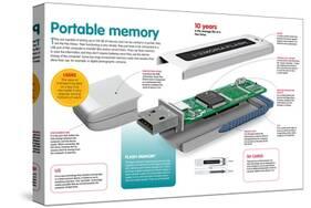 Infographic About the Portable Information Storage System or Pen Drive-null-Stretched Canvas