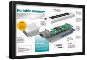 Infographic About the Portable Information Storage System or Pen Drive-null-Framed Poster
