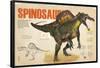 Infographic About the Spinosaurus, a Carnivorous Dinosaur from the Cretaceous Period-null-Framed Poster