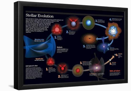 Infographic About the Stages of a Star Evolution, from its Origin to its Disappearance-null-Framed Poster