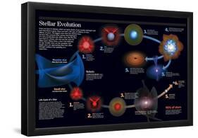 Infographic About the Stages of a Star Evolution, from its Origin to its Disappearance-null-Framed Poster