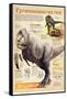 Infographic About the Tyrannosaurus Rex, a Predator That Lived During the Cretaceous Period-null-Framed Stretched Canvas
