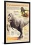 Infographic About the Tyrannosaurus Rex, a Predator That Lived During the Cretaceous Period-null-Framed Poster