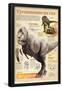 Infographic About the Tyrannosaurus Rex, a Predator That Lived During the Cretaceous Period-null-Framed Poster