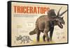 Infographic About Thetriceratops, Dinosaur from the Cretaceous Period of the Mesozoic Era-null-Framed Stretched Canvas