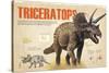 Infographic About Thetriceratops, Dinosaur from the Cretaceous Period of the Mesozoic Era-null-Stretched Canvas