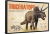 Infographic About Thetriceratops, Dinosaur from the Cretaceous Period of the Mesozoic Era-null-Framed Poster