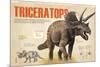 Infographic About Thetriceratops, Dinosaur from the Cretaceous Period of the Mesozoic Era-null-Mounted Poster