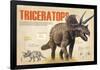 Infographic About Thetriceratops, Dinosaur from the Cretaceous Period of the Mesozoic Era-null-Framed Poster