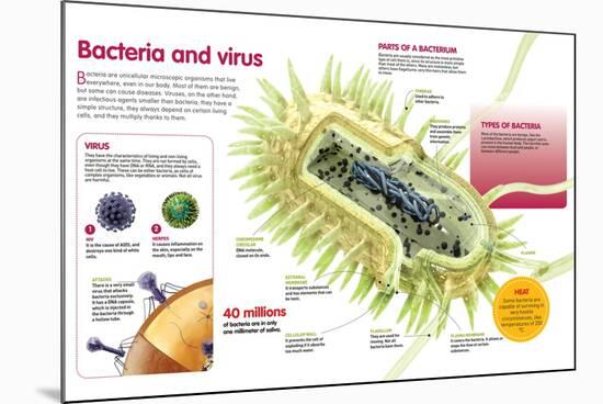 Infographic About Virus and Bacteria-null-Mounted Poster