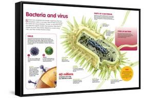 Infographic About Virus and Bacteria-null-Framed Stretched Canvas