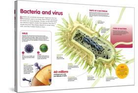 Infographic About Virus and Bacteria-null-Stretched Canvas