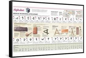 Infographic Explaining the Origin and Evolution of the Alphabet, Letter by Letter-null-Framed Stretched Canvas