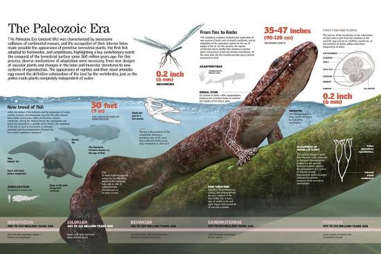 'Infographic Fauna of the Paleozoic Era When Amphibians Adapted to