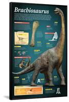 Infographic of Brachiosaurus, a Giant Herbivore That Lived at the End of the Jurassic Period-null-Framed Poster