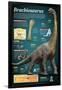 Infographic of Brachiosaurus, a Giant Herbivore That Lived at the End of the Jurassic Period-null-Framed Poster