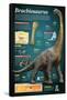 Infographic of Brachiosaurus, a Giant Herbivore That Lived at the End of the Jurassic Period-null-Framed Stretched Canvas