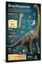 Infographic of Brachiosaurus, a Giant Herbivore That Lived at the End of the Jurassic Period-null-Stretched Canvas