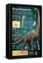 Infographic of Brachiosaurus, a Giant Herbivore That Lived at the End of the Jurassic Period-null-Framed Stretched Canvas