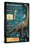 Infographic of Brachiosaurus, a Giant Herbivore That Lived at the End of the Jurassic Period-null-Stretched Canvas