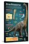 Infographic of Brachiosaurus, a Giant Herbivore That Lived at the End of the Jurassic Period-null-Stretched Canvas