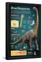 Infographic of Brachiosaurus, a Giant Herbivore That Lived at the End of the Jurassic Period-null-Framed Poster