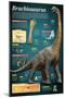 Infographic of Brachiosaurus, a Giant Herbivore That Lived at the End of the Jurassic Period-null-Mounted Poster