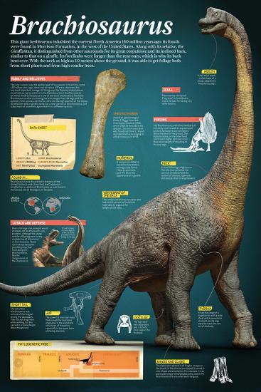 Poster, , large