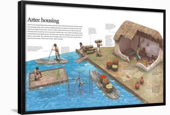 Infographic of Daily Life of Aztecs and their Housing-null-Framed Standard Poster