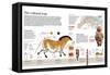 Infographic of Paleolithic Art, the First Expression of Human Culture-null-Framed Stretched Canvas