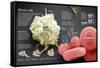 Infographic of Red and White Blood Cells and their Function-null-Framed Stretched Canvas