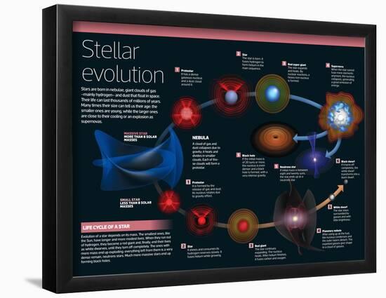 Infographic of Stars: from Birth, Up to the Largest Ones, Near their Cooling as Supernova-null-Framed Poster