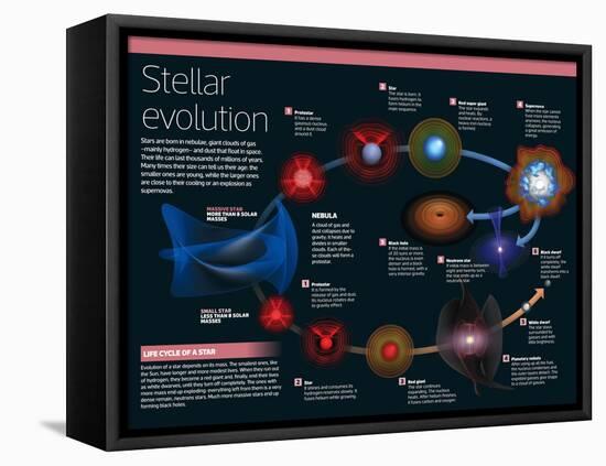 Infographic of Stars: from Birth, Up to the Largest Ones, Near their Cooling as Supernova-null-Framed Stretched Canvas